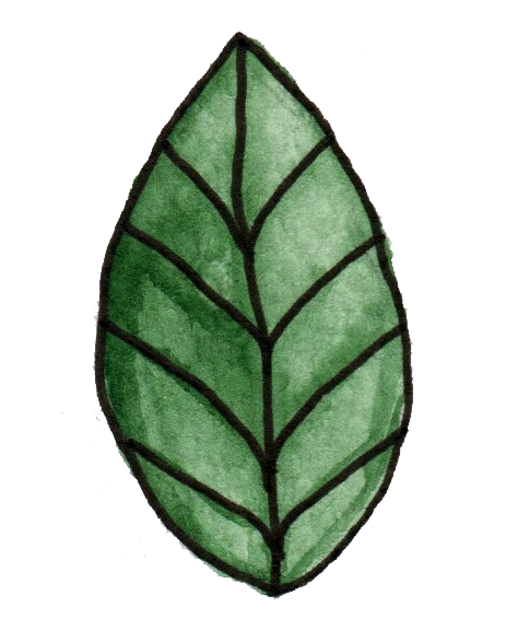 Natural Typist logo or image